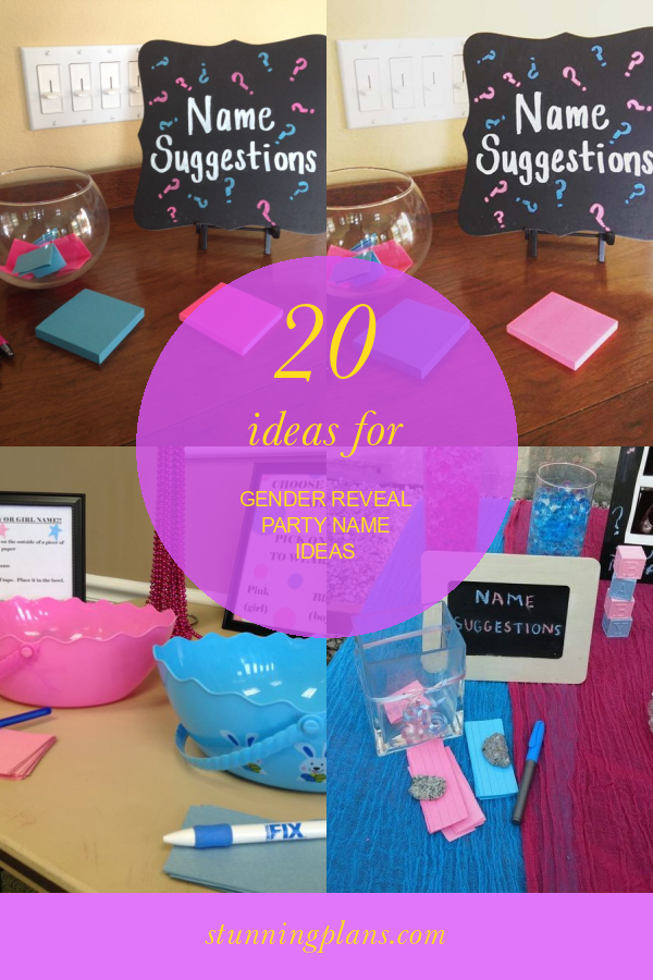 20-ideas-for-gender-reveal-party-name-ideas-home-family-style-and